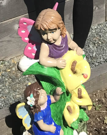 Powell River Success Story - Gnomes In The Garden