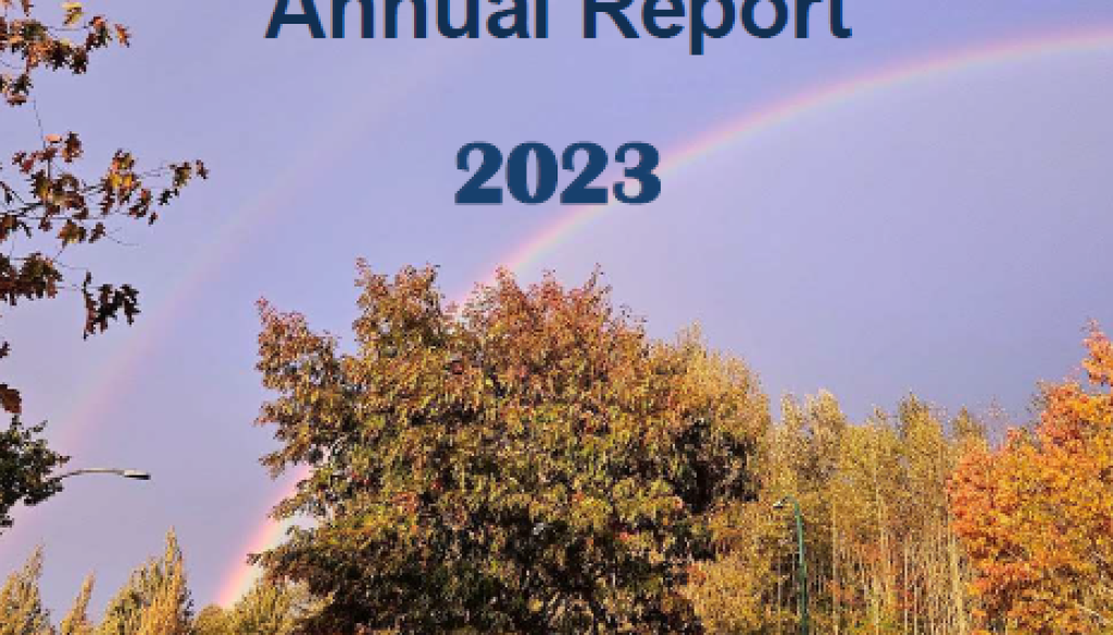 2022-2023 Brain Injury Alliance Annual Report