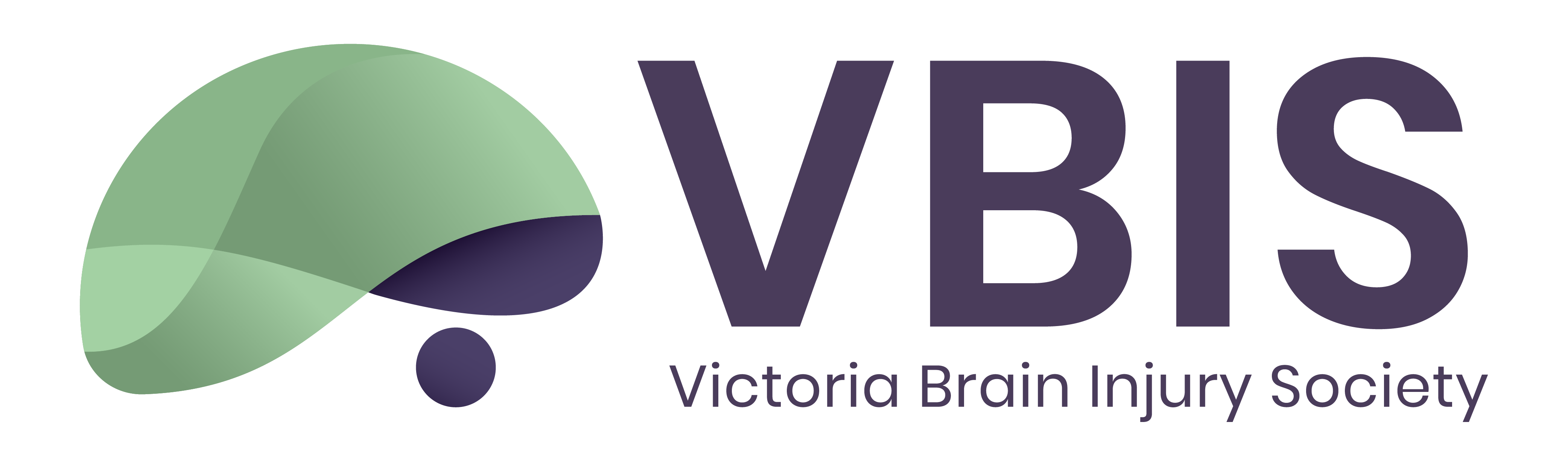 VBIS 2ND LOGO-01